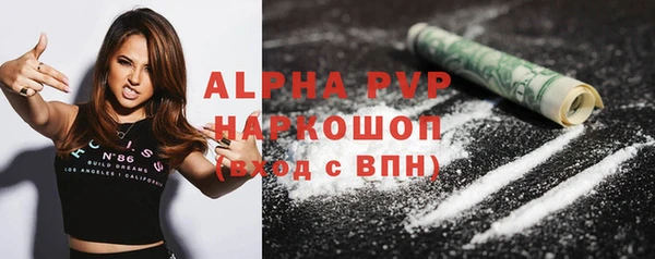 индика Белоозёрский