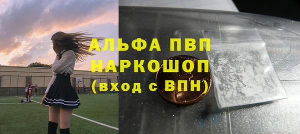 индика Белоозёрский